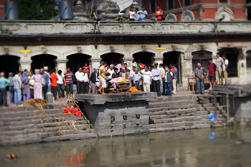 84CF0D8B-DC10-4B42-9050-90BFE6DB4E4B