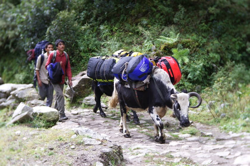 F83FE25E-E56D-451E-8921-68A8AD2317A1