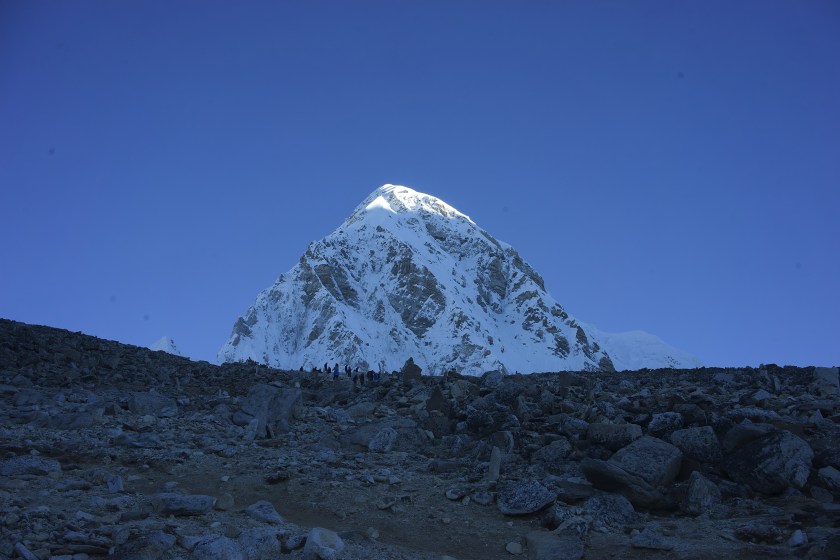 52E29E9C-0DD6-4B1C-A4CF-856ADBB18C77