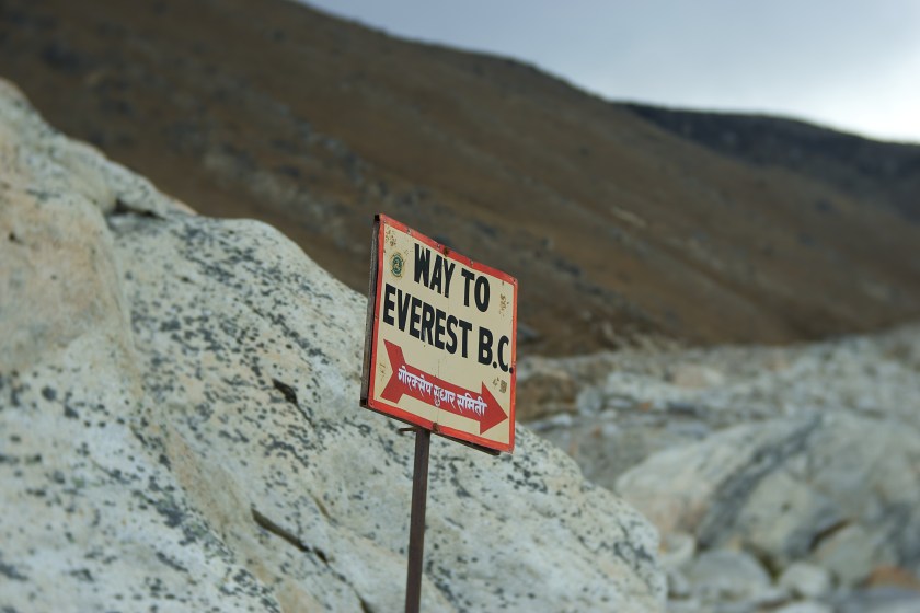 5418C879-91C9-4C44-9D3B-308E4BE147E3