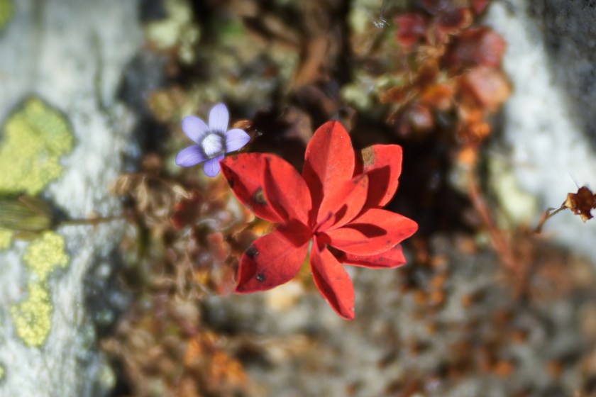 6D661B60-F898-4276-B007-5F5F4D4EF3DF