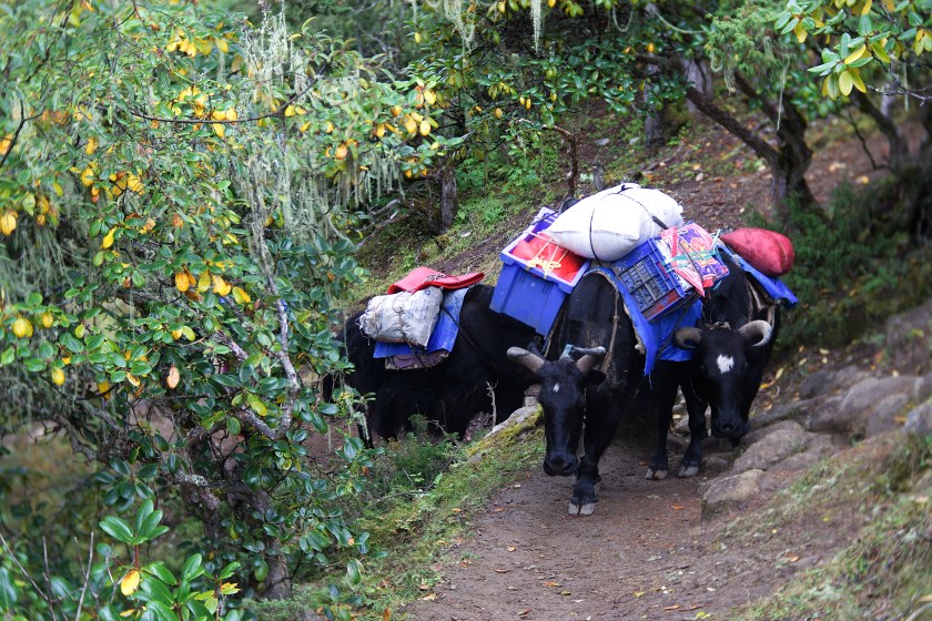 78B25AB2-AE04-4389-BF07-803C7C665400