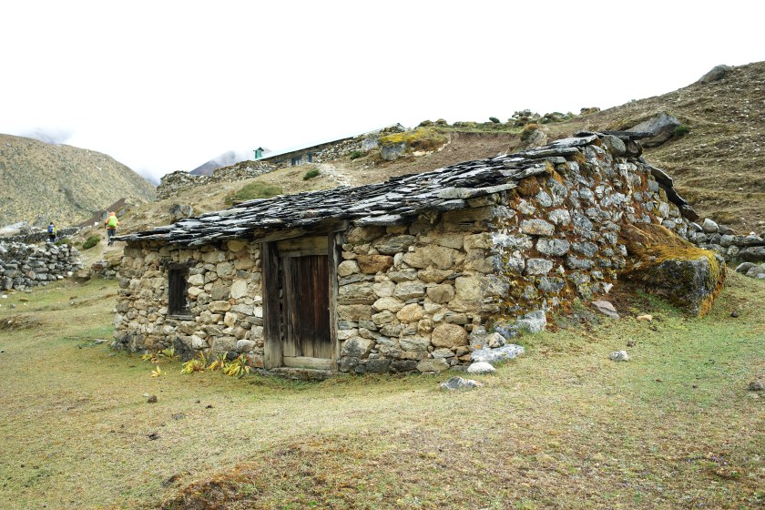 B0183629-3744-40DD-8B51-B25E2242D92E