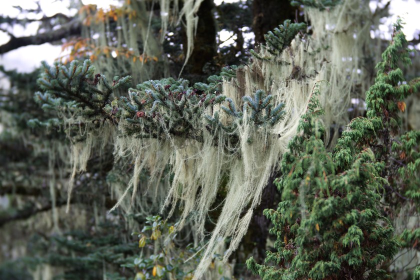 C68E50BE-9D53-4D8D-873C-C4CA68A0498D