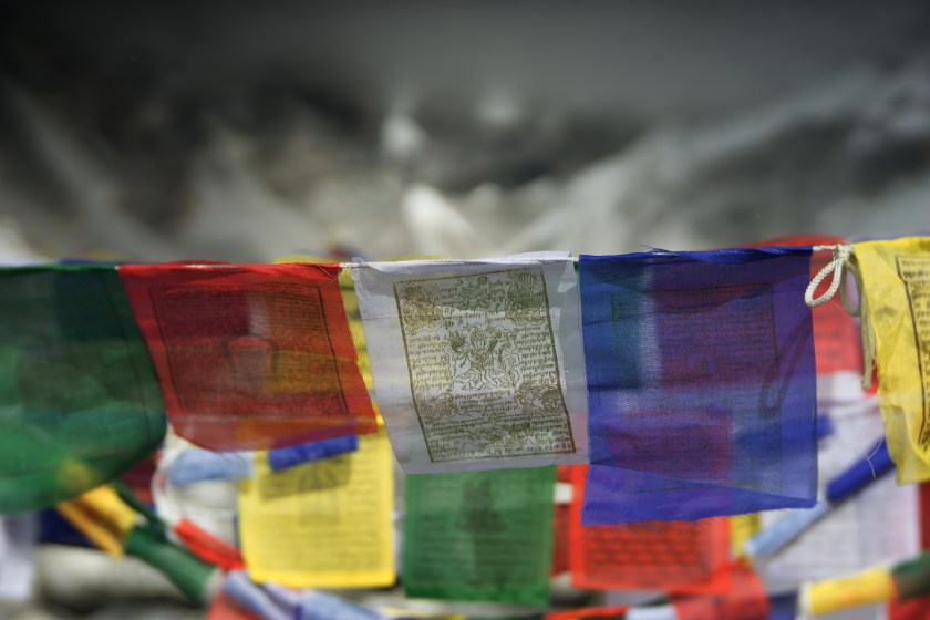 E9D540DF-E2ED-4FA0-BE4D-3A4D9A8729F9