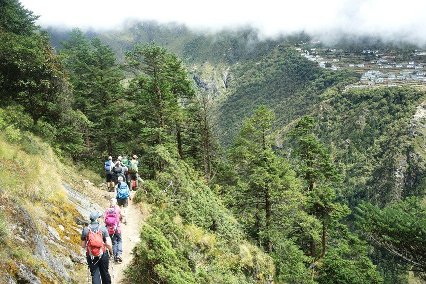 EECC9638-C5E1-48E9-9EF2-643E6FDC3B19